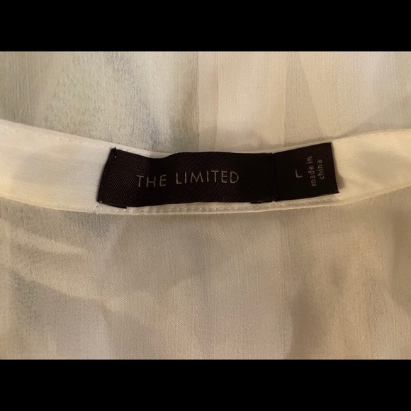 The Limited Sheer Ruffled Blouse - Picture 8 of 10